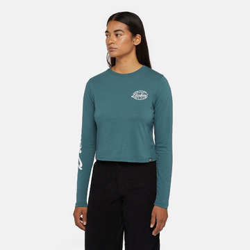 T-shirt van het merk Dickies in het Groen