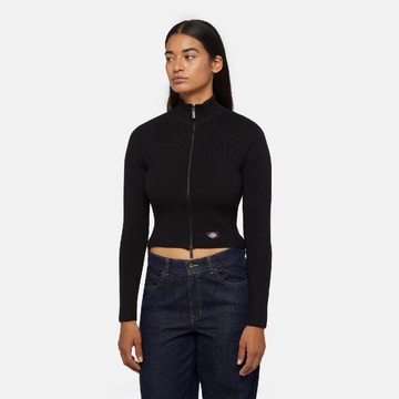 Pull van het merk Dickies in het Zwart