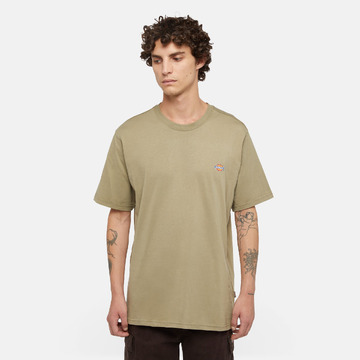 T-shirt van het merk Dickies in het Kaki