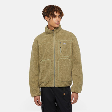 Jacket van het merk Dickies in het Groen