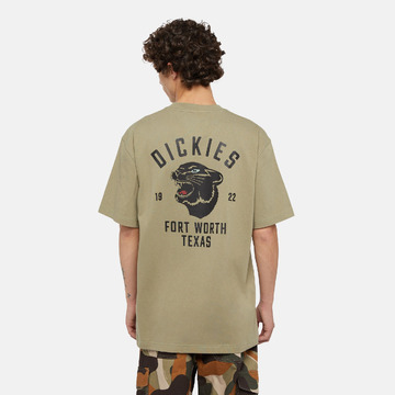 T-shirt van het merk Dickies in het Groen