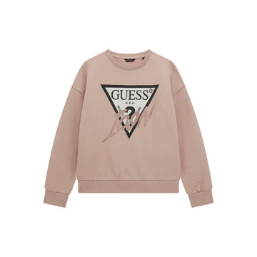 Pull van het merk Guess in het Roze