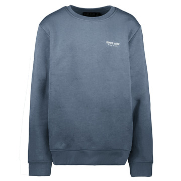 Sweater van het merk Cars in het Blauw