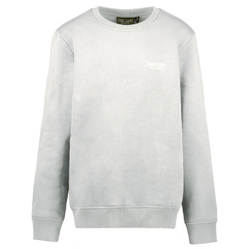 Sweater van het merk Cars in het Blauw