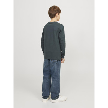 Broek van het merk Jack & Jones Junior in het Jeans