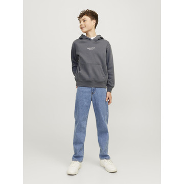 Sweater van het merk Jack & Jones Junior in het Grijs