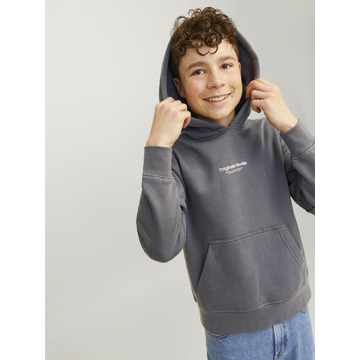 Sweater van het merk Jack & Jones Junior in het Grijs