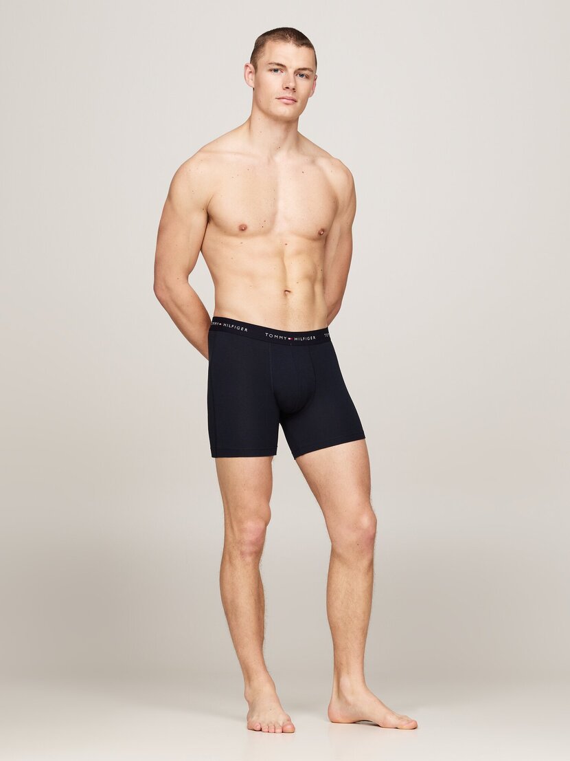 UM0UM02765 3P BOXER BRIEF WB