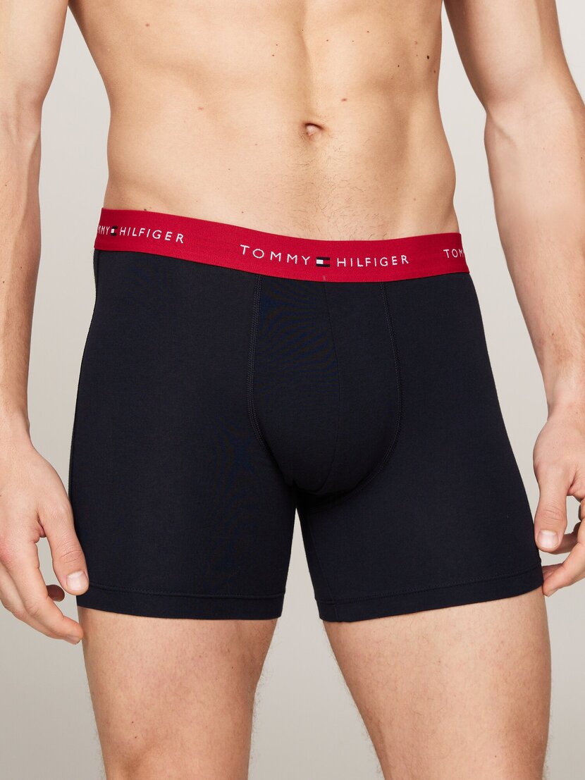 UM0UM02765 3P BOXER BRIEF WB