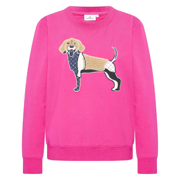 Sweater van het merk Hv Polo in het Roze