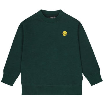 Sweater van het merk Tumblendry in het Groen