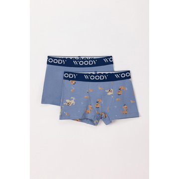 Boxer van het merk Woody in het Blauw