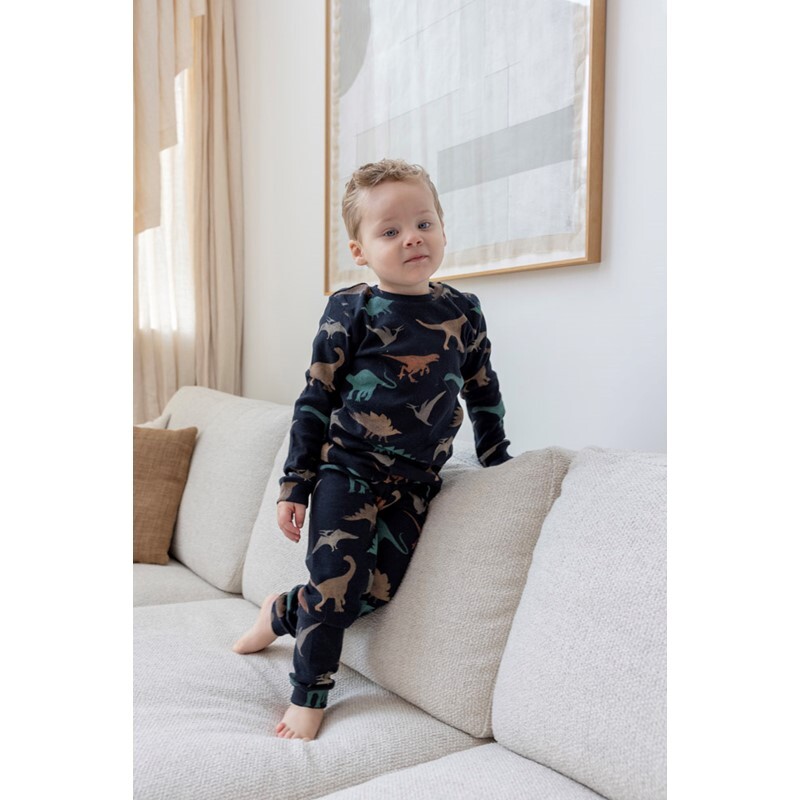 Davy Dino - Premium Sleepwear by Feetje