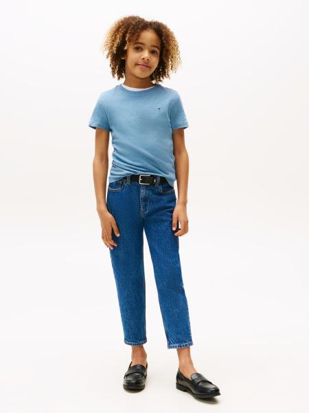 Afbeelding voor product T-shirt van het merk Tommy Hilfiger in het Blauw