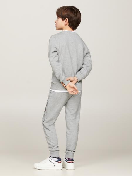 Afbeelding voor product Sweater van het merk Tommy Hilfiger in het Grijs