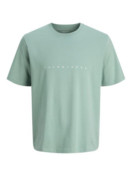 Afbeelding voor product T-shirt van het merk Jack & Jones Junior in het Groen