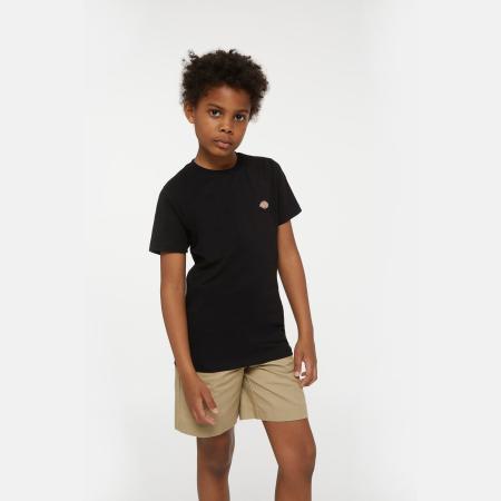 Afbeelding voor product T-shirt van het merk Dickies in het Zwart