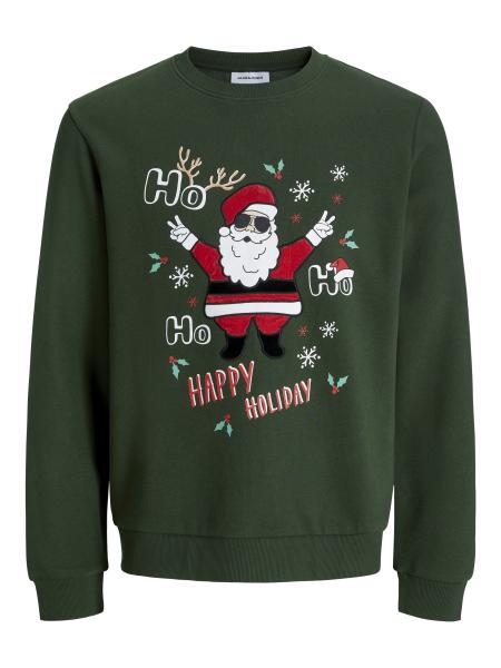 Afbeelding voor product Sweater van het merk Jack & Jones in het Groen