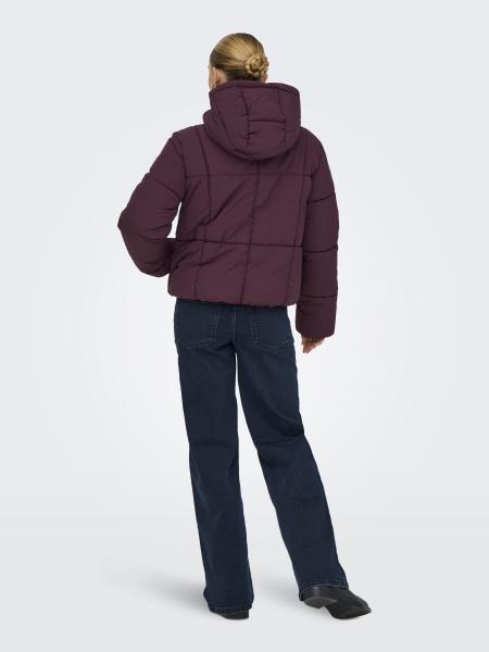 Afbeelding voor product Jas van het merk Jdy in het Bordeaux