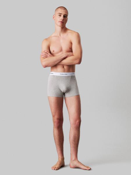 Afbeelding voor product Boxer van het merk Calvin Klein in het Grijs