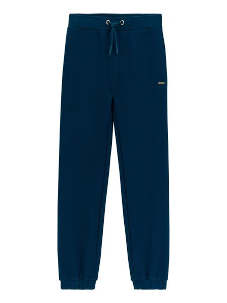 Afbeelding voor product Broek van het merk Guess in het Marine