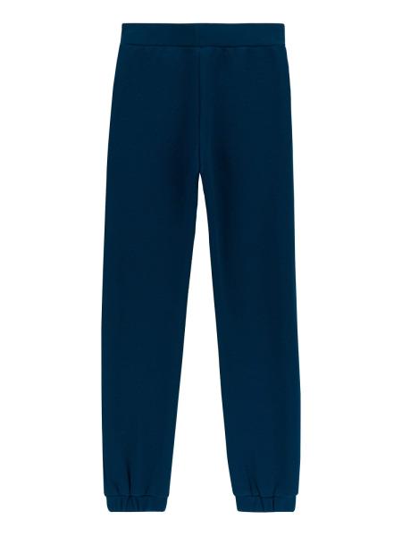 Afbeelding voor product Broek van het merk Guess in het Marine