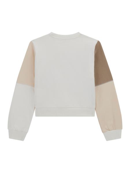 Afbeelding voor product Sweater van het merk Guess in het Beige
