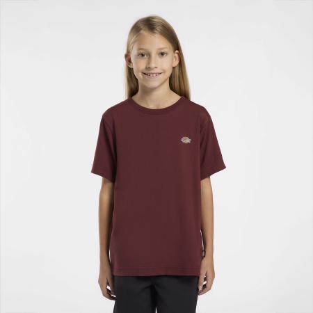 Afbeelding voor product T-shirt van het merk Dickies in het Bordeaux