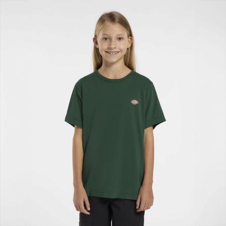 Afbeelding voor product T-shirt van het merk Dickies in het Groen