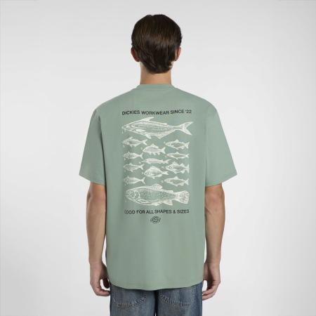 Afbeelding voor product T-shirt van het merk Dickies in het Groen
