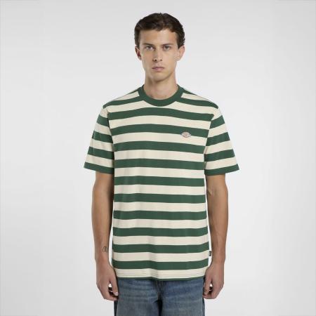 Afbeelding voor product T-shirt van het merk Dickies in het Groen