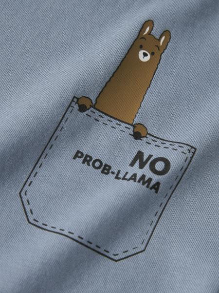 Afbeelding voor product T-shirt van het merk Name It in het Blauw