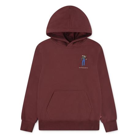 Afbeelding voor product Sweater van het merk Levis Kids in het Rood