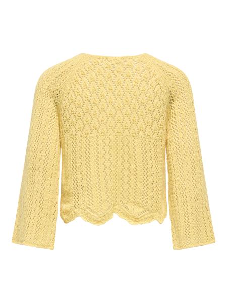 Afbeelding voor product Pull van het merk Only in het Geel