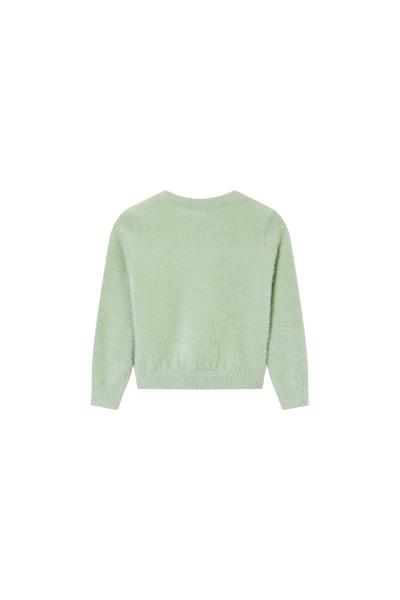 Afbeelding voor product Pull van het merk Someone in het Groen