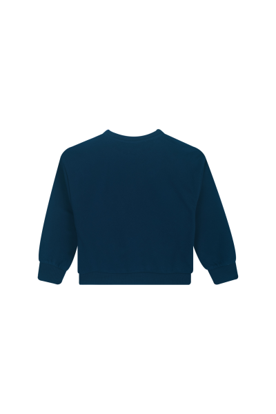 Afbeelding voor product Sweater van het merk Awesome in het Blauw