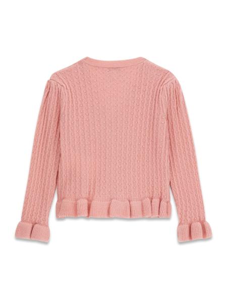 Afbeelding voor product Gilet van het merk Guess in het Roze