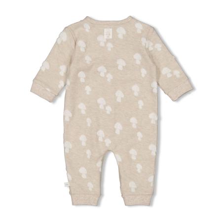 Afbeelding voor product Onepiece van het merk Feetje in het Beige