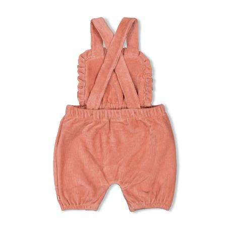 Afbeelding voor product Broek van het merk Feetje in het Roze