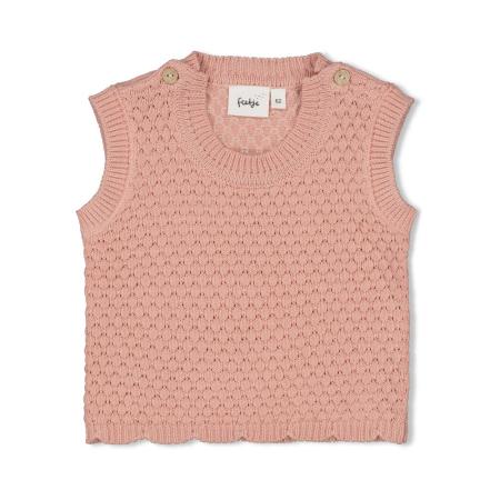 Afbeelding voor product Pull van het merk Feetje in het Roze