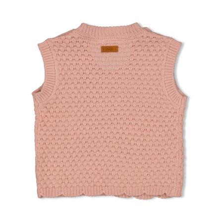 Afbeelding voor product Pull van het merk Feetje in het Roze