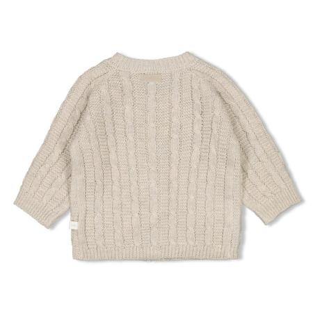 Afbeelding voor product Gilet van het merk Feetje in het Beige