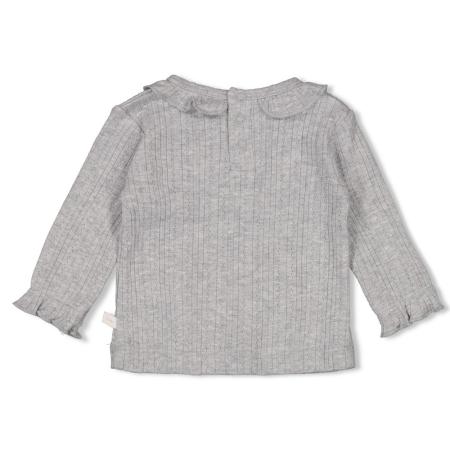 Afbeelding voor product T-shirt van het merk Feetje in het Grijs