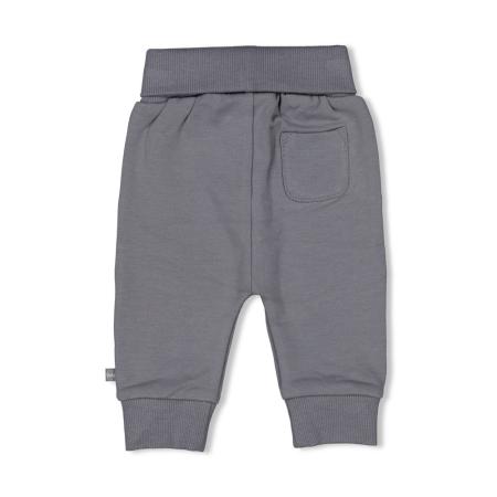 Afbeelding voor product Broek van het merk Feetje in het Blauw