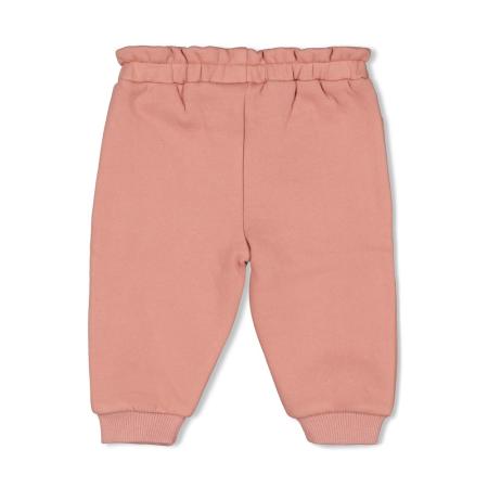 Afbeelding voor product Broek van het merk Feetje in het Roze