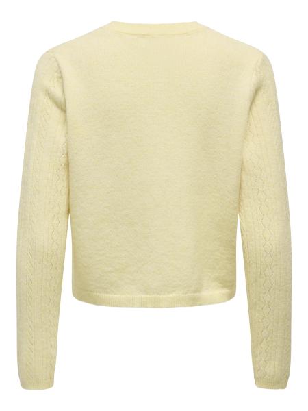 Afbeelding voor product Cardigan van het merk Jdy in het Geel