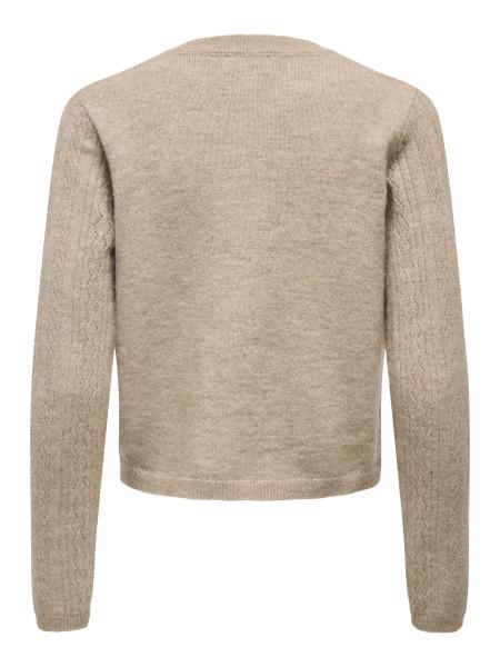 Afbeelding voor product Cardigan van het merk Jdy in het Beige