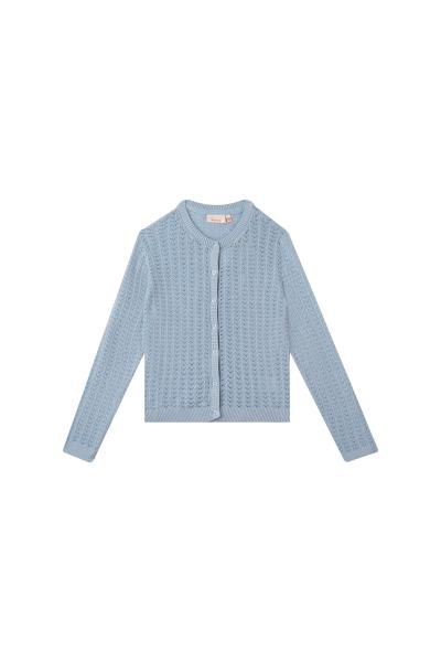 Afbeelding voor product Gilet van het merk Someone in het Blauw