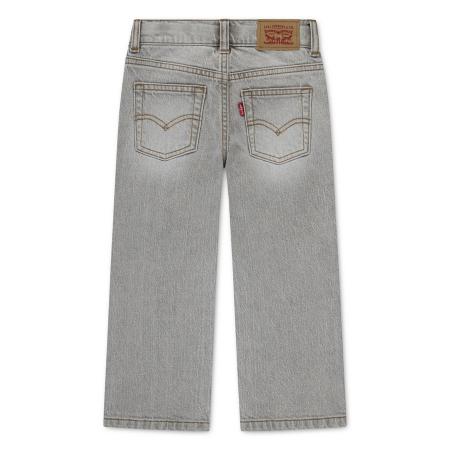 Afbeelding voor product Jeans van het merk Levis in het Grijs
