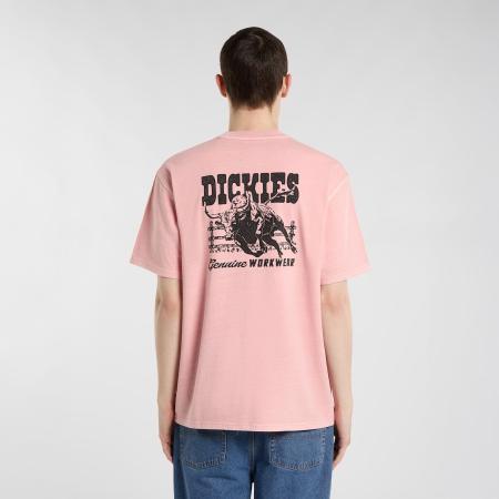 Afbeelding voor product T-shirt van het merk Dickies in het Roze
